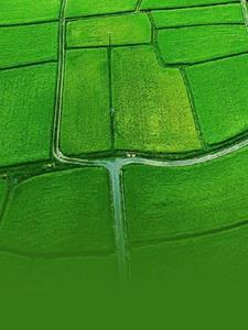 末世桃源:重生之我是甄种田