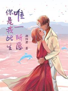 你是我此生,唯一所愿