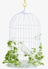 全能炼金师烂尾了吗