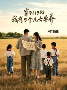 星辉落进风沙里主要讲了什么