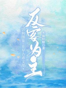 256中文